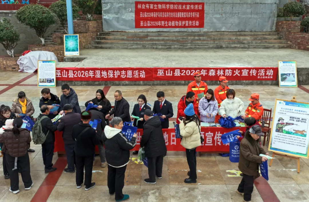 巴渝检影丨巫山：“检察蓝”守护“生态绿”（组图）