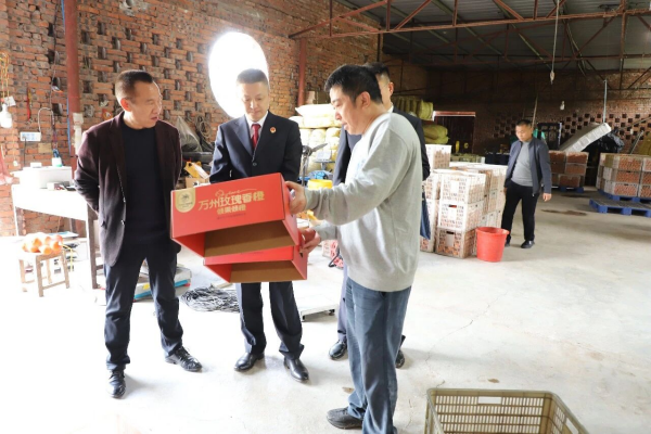 巴渝检影丨万州：检护“橙”香（组图）