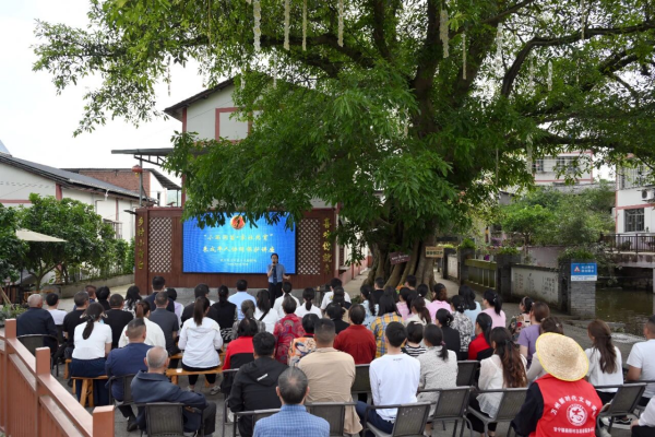 巴渝检影 | 万州：黄葛树下，法声琅琅（组图）