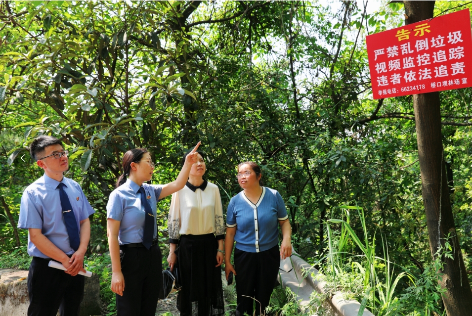 “益”心守护，刀片岩徒步路焕新颜 | 巴渝检影