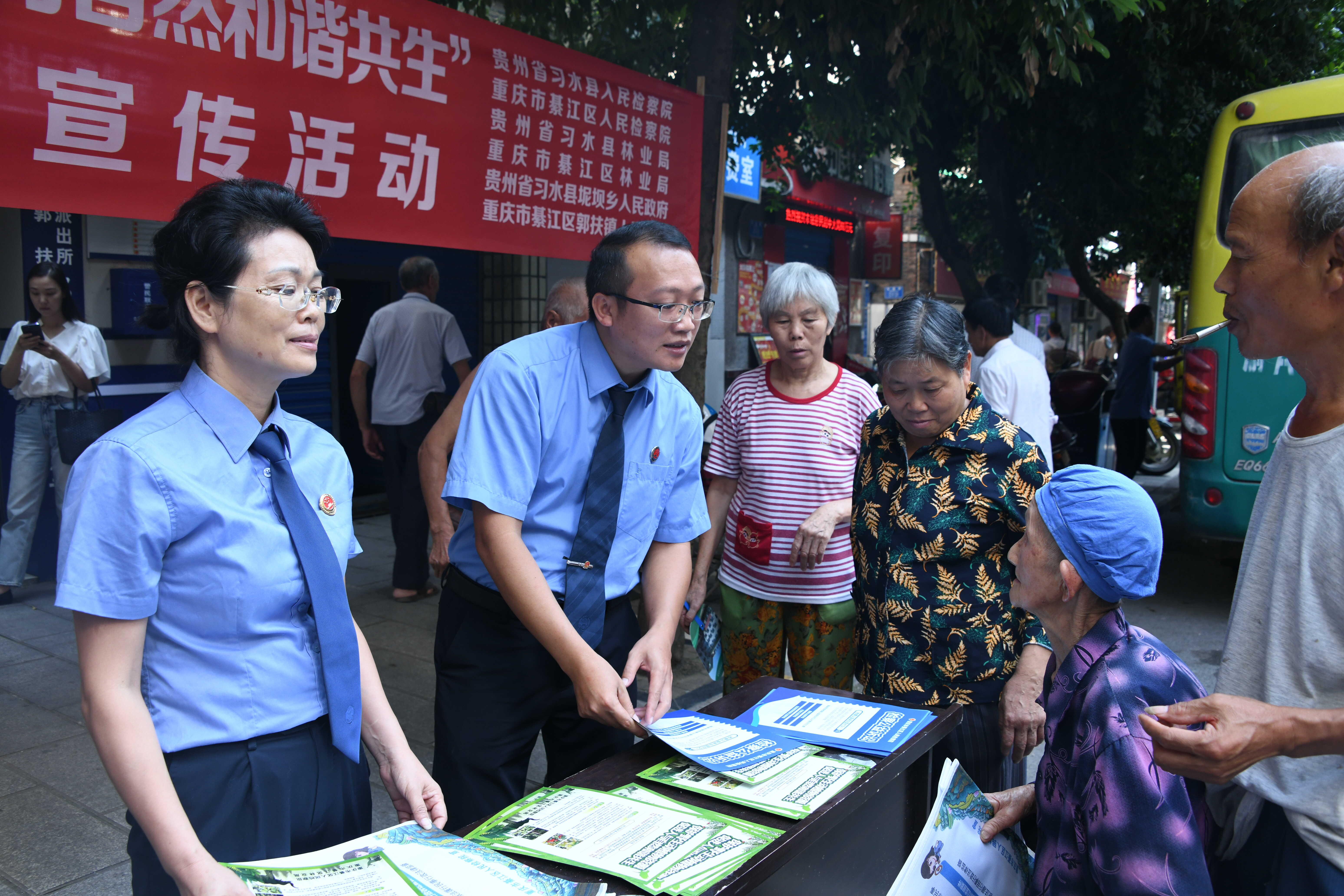 【长江生态检察官】綦江：百年古树惨遭砍伐，渝黔两地积极探索跨区域生态修复机制