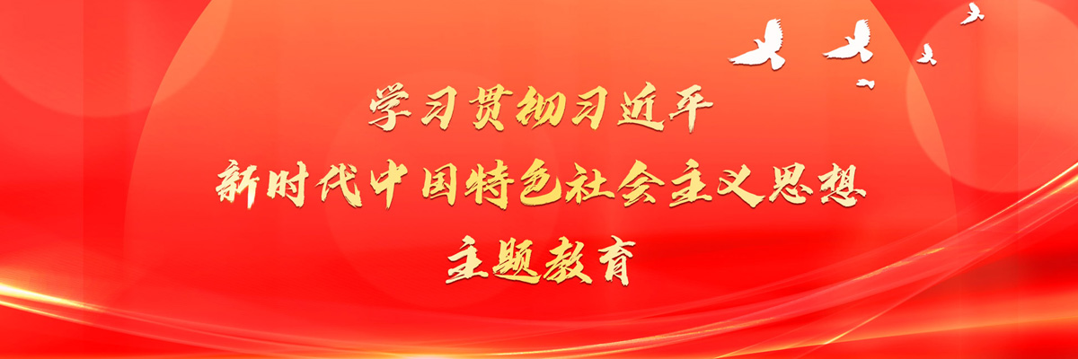 学习贯彻习近平新时代中国特色社会主义思想主题教育