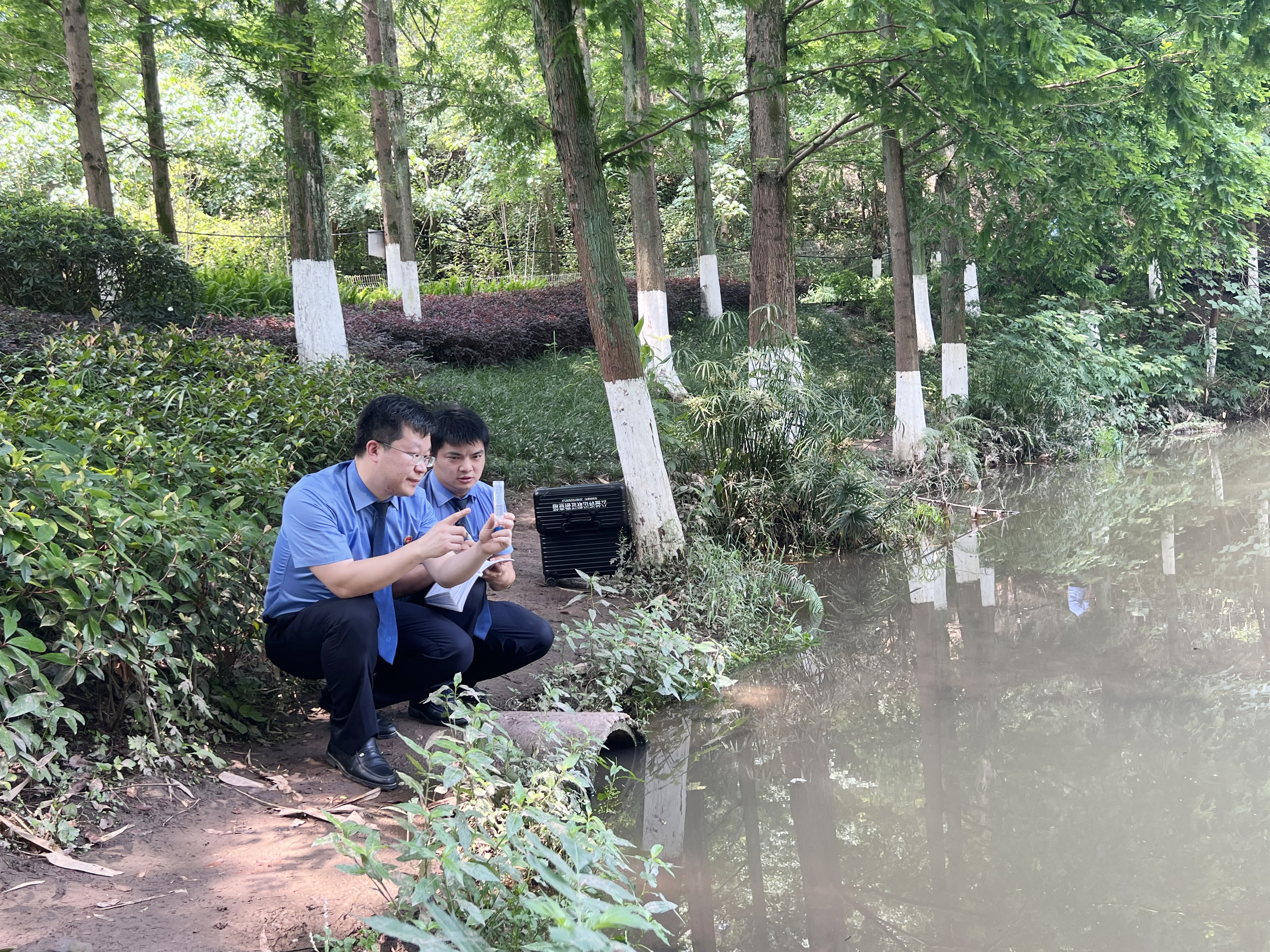 【长江生态检察官】渝北：检察建议促城市“毛细血管”全面体检，湿地公园再现高颜值